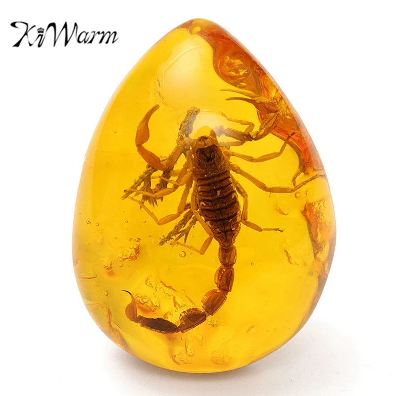 1Pc Fashion Insect Stone Scorpions Inclusion Amber Baltic Pendant Necklace Gift