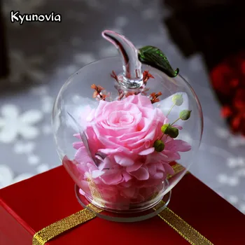

Kyunovia Mini Apple shape Valentine's Day Glass Cover Fresh Preserved Rose Flower for Wedding Home Party Car Decoration KY76