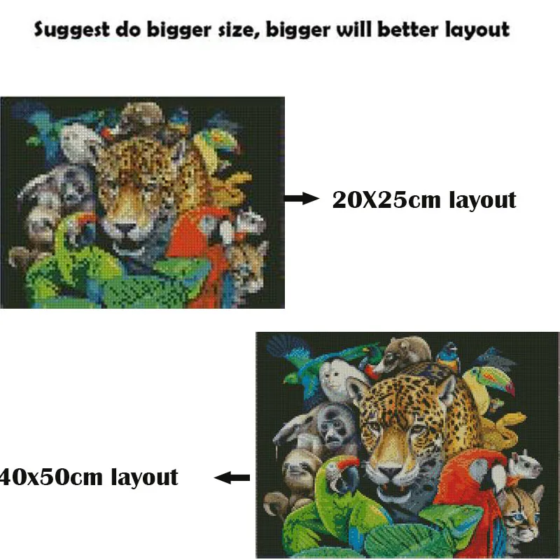 DW