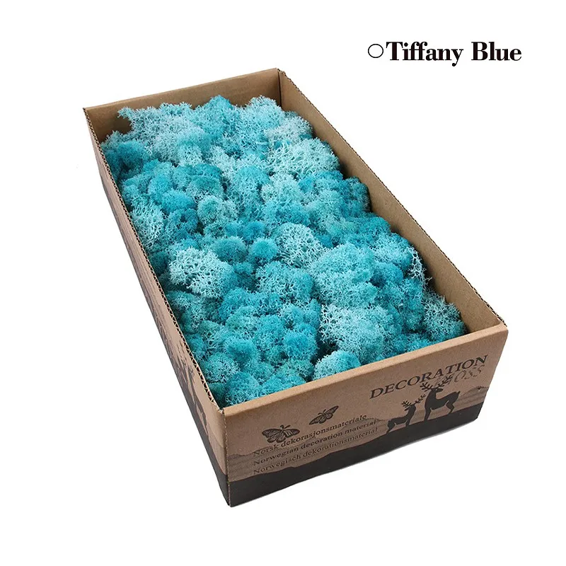24 цвета, 500 г, Натуральные Искусственные консервированные мхи, настоящие растения для дома, сада, вечерние украшения, декор интерьера - Цвет: Tiffany Blue