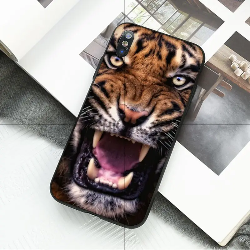 animal tiger