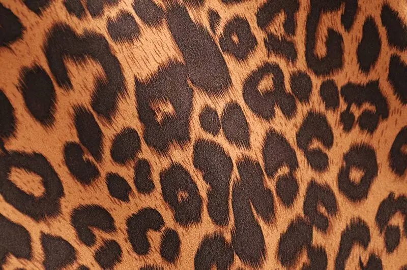 20190224_202505_031