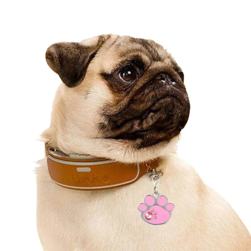 15 видов стилей собака ID бирка собака украшения на шею кошка щенок ID бирка из нержавеющей стали лапа имя кулоны с надписью Анти-потери