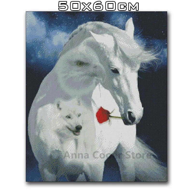 50x60-_