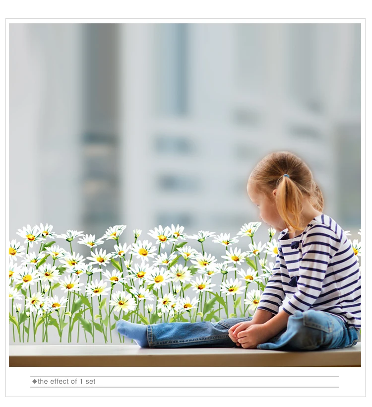 6970085180016 750 (5).jpg