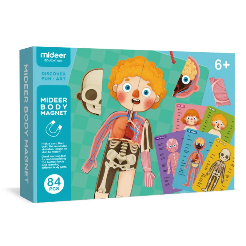 

Body Magnet Wisdom Educational Jigsaw Puzzle For Children Language learning