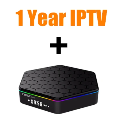 T95ZPlus Android tv Box Amlogic S912 2G/16G H.265 WiFi BT4.0 4K 1 год французский арабский Испания IP tv 5000Live 3500VOD GOTIT King IP tv - Цвет: With 1 Year IPTV