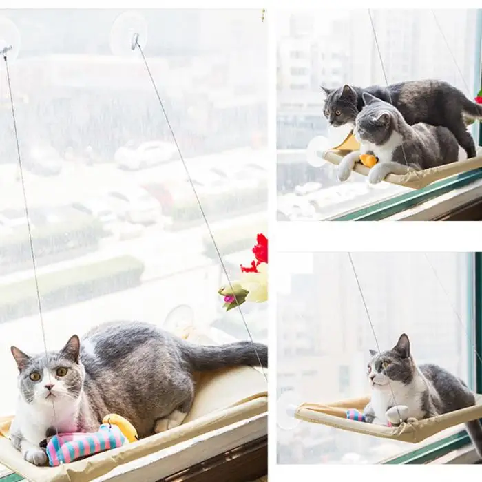 55*35 см гамак для кошек на присоске, Настенное подвесное сиденье для котенка, солнечное сиденье, Лучшая цена