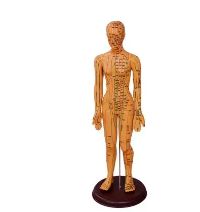 

48CM FeMale Lettering acupuncture point body mannequin of acupuncture, Medical Research massage reflex zone teaching model C518