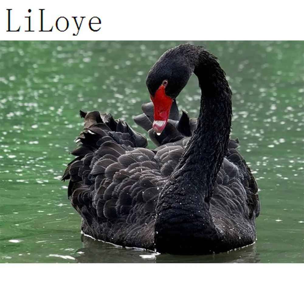 

LI LOYE DIY Diamond Painting Cross Stitch Kits Full Diamond Embroidery 5D Diamond Mosaic Needlework Black Swan Pattern gift FZ11