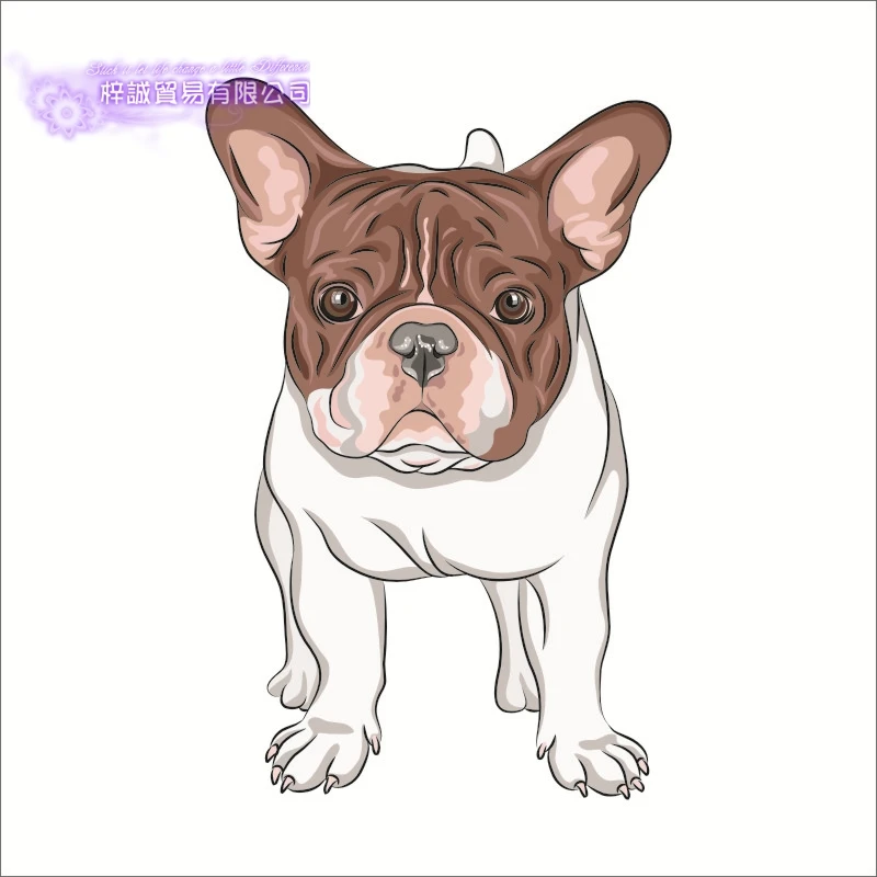 DCTAL Pet Shop стикер виниловая наклейка на стену парикмахерский салон для домашних