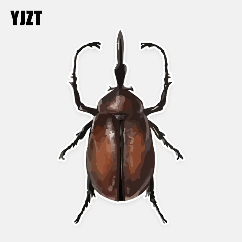 

YJZT 9.4*14.5CM Coolest Colored Predator Beetles Decor Car Stickers Bumper Car Window Personalized 11A0626