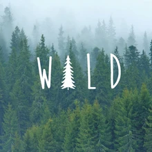 Selvaggio Albero Della Decalcomania Del Vinile Autoadesivo, Natura Decalcomanie Adesivo Per Finestra di Automobile Del Computer Portatile Del Computer MacBook Decor