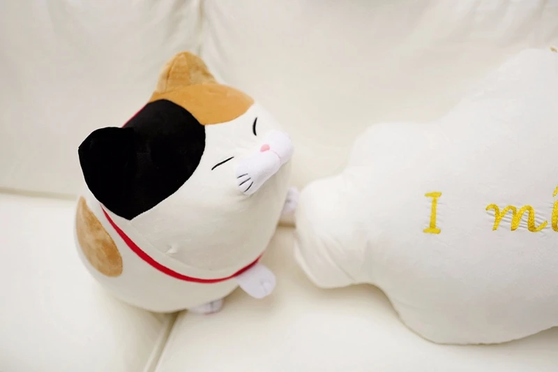 HTB1FbkZaamWBuNkHFJHq6yatVXaw