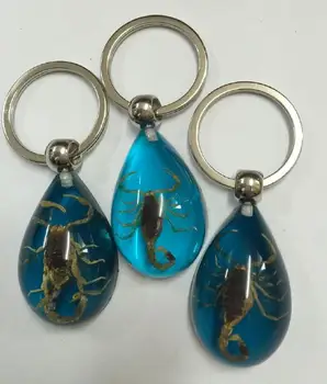 

Free Shipping High Quality 12 pcs real insect keychain specimen golden scorpion blue back fine keychain