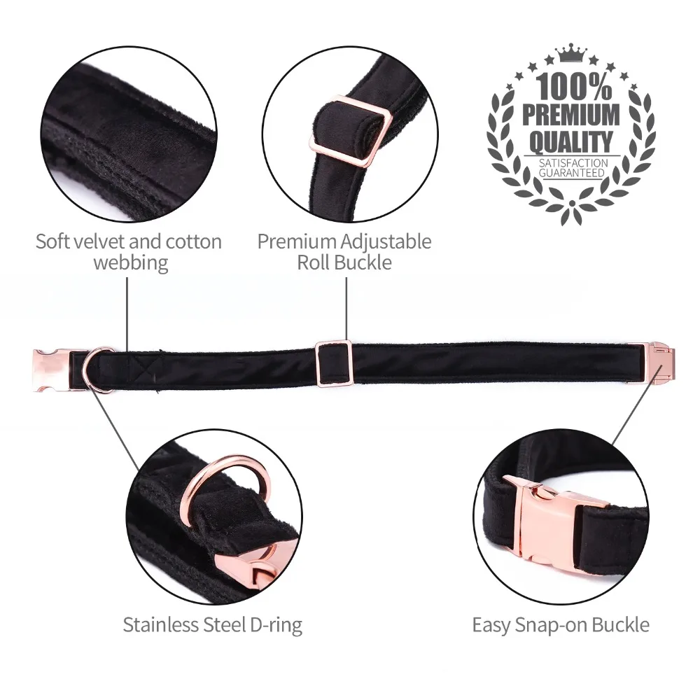 Stylish Dog Collar