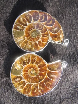 

Madagascar to healing of the split ammonite fossil specimens shell pendant