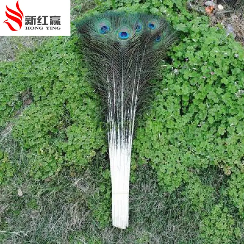 Preise 20 teile lose natürliche pfau feder 70 90 cm hochzeit dekoration federn Dance dekoration, urlaub kunstwerke