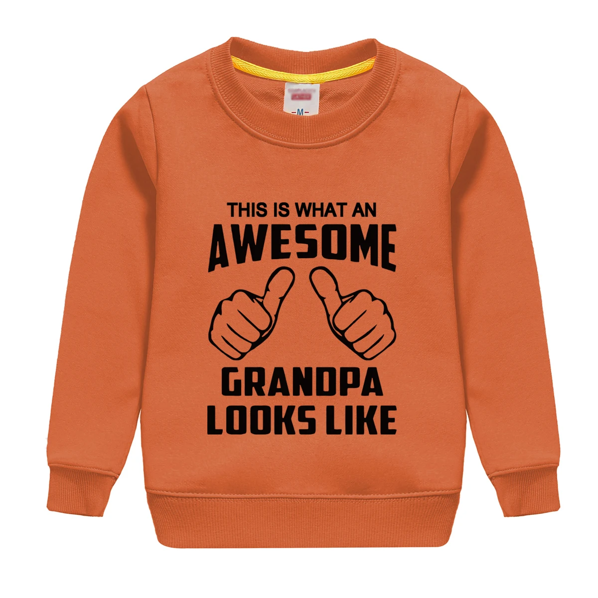 "this is what an awesome granopa looks like " printing 2018 new fashion cotton sweatshirt baby boy clothing top tees for kids HTB1l3jijyqAXuNjy1Xdq6yYcVXaY - "this is what an awesome granopa looks like " printing 2018 new fashion cotton sweatshirt baby boy clothing top tees for kids