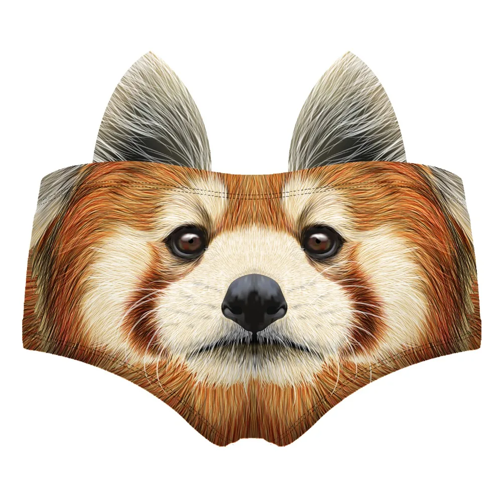 55115 red panda wiz back