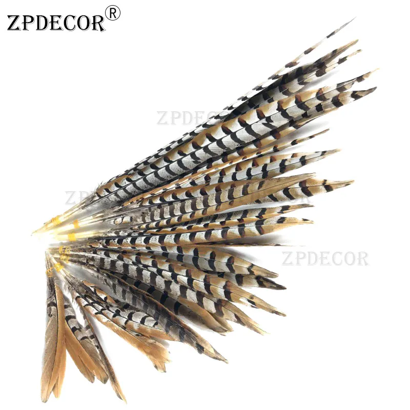 natural-pluma-35-40cm-14-16-inch-reeves-venery-pheasant-feathers