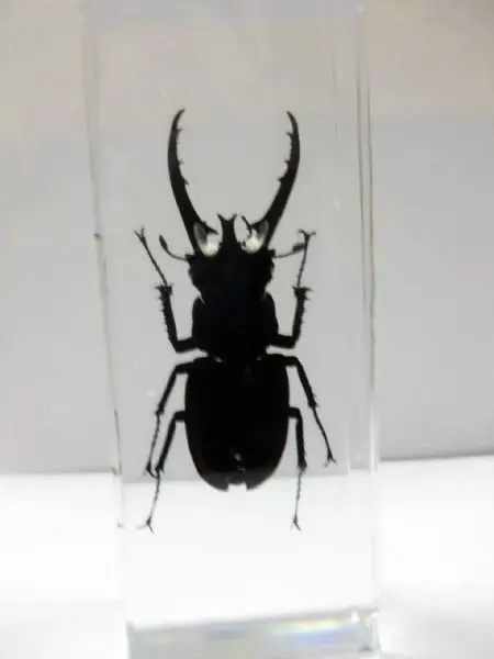 Creative NO 6  Style Specimen Books Tools Home Decorative Gift