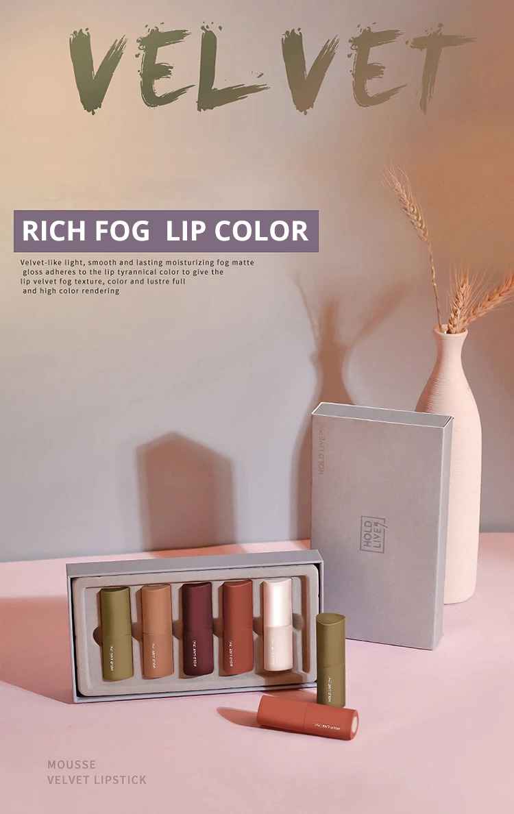 Brand HOLDLIVE 5Pcs Velvet Matte Lipstick Set (1)