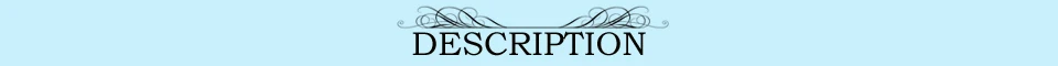 DESCRIPTION