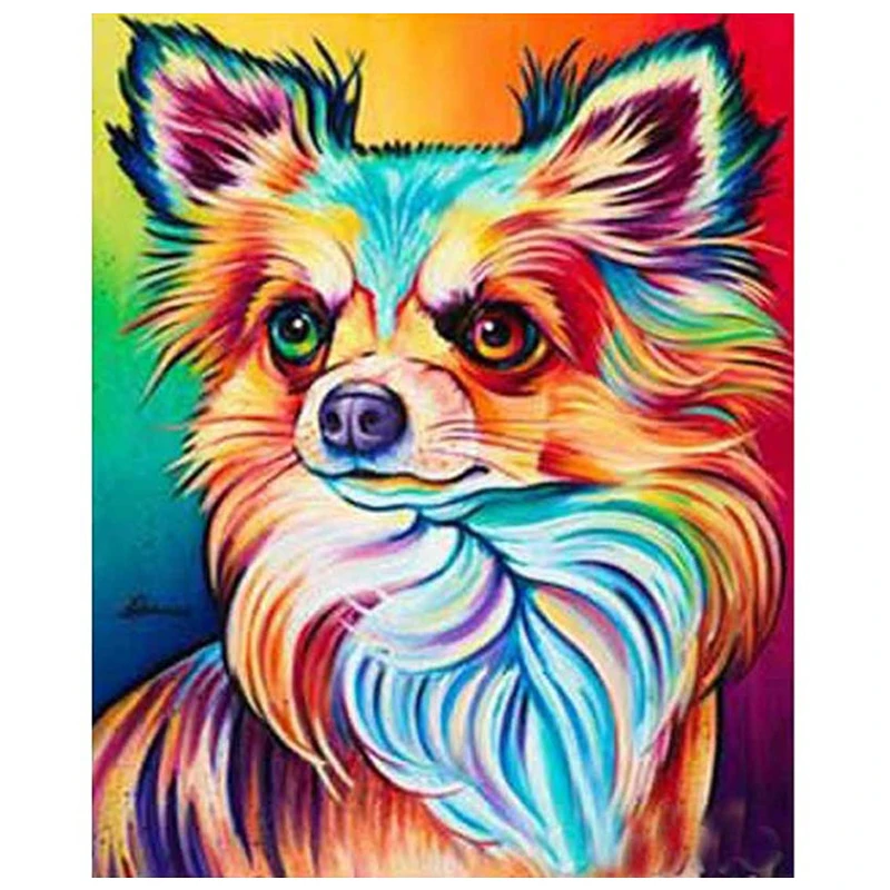 chihuahua dog 2