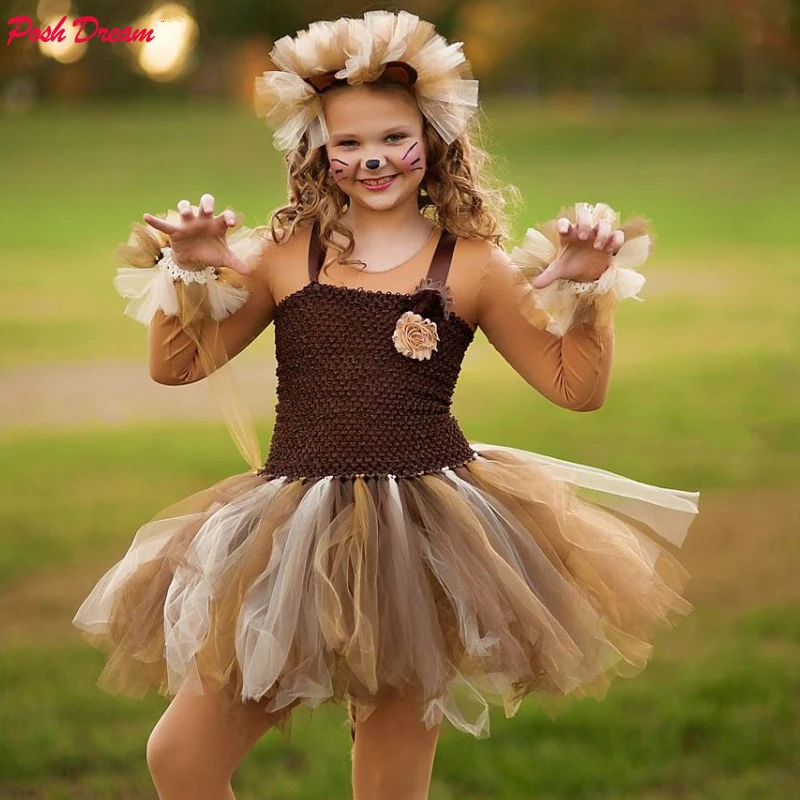 baby girl lion costume