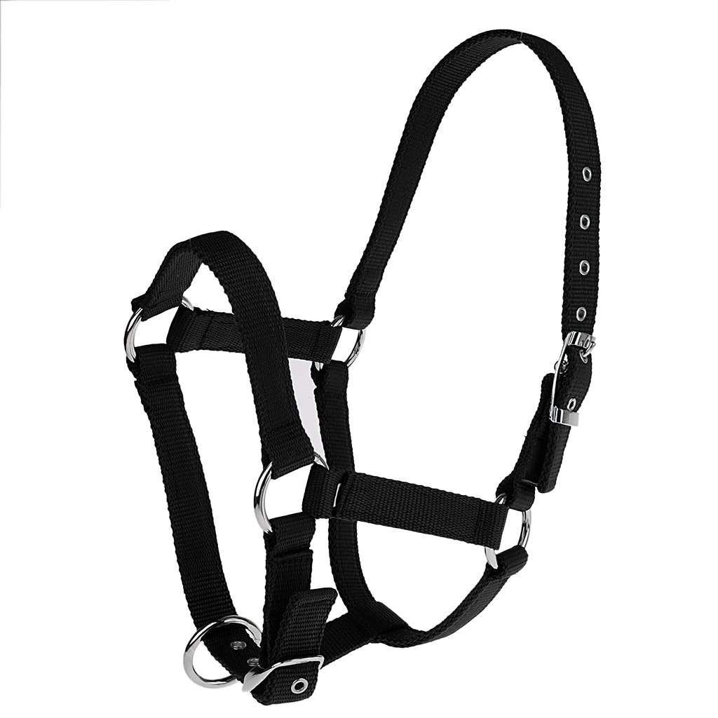 Strong and Durable Adjustable Webbing Equestrian Horse Halter Horse Riding Wear Adjustable Equestrian Horse Halter 