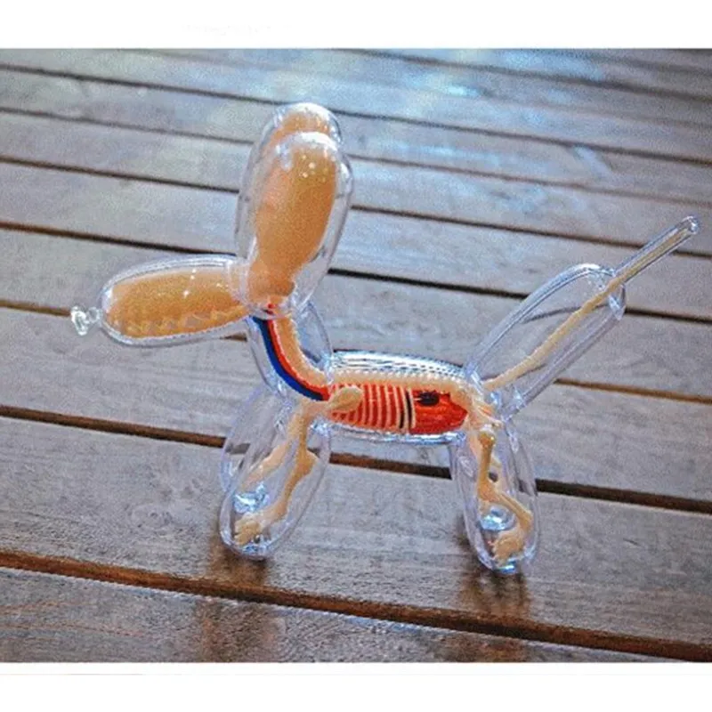 

Balloons Dog Art DIY 4D masters Education Toys Crafts Home Decoration Living Room Desktop Skeleton Body Dog L3010