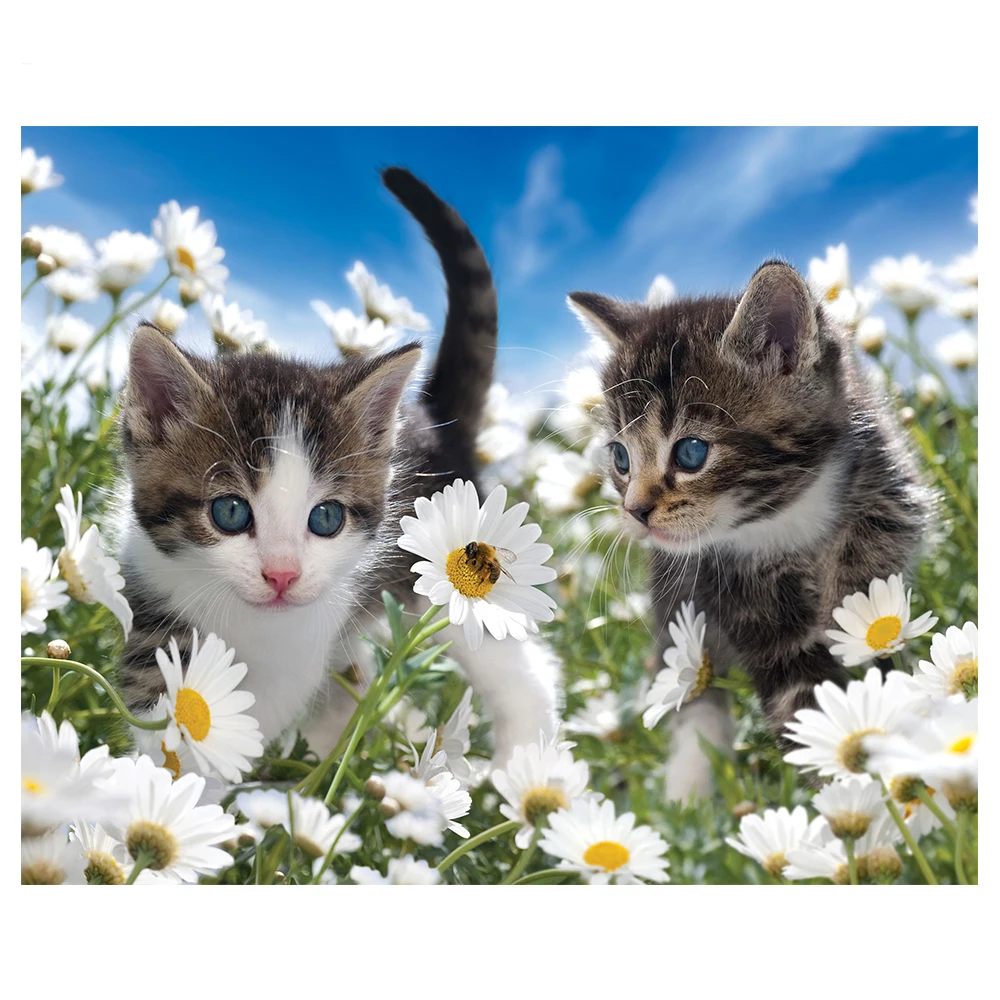 

Diamond Embroidery Cat Picture Of Rhinestone Full Square Diamond Painting Animal Cross Stitch Diamond Mosaic Hobby Home Decor
