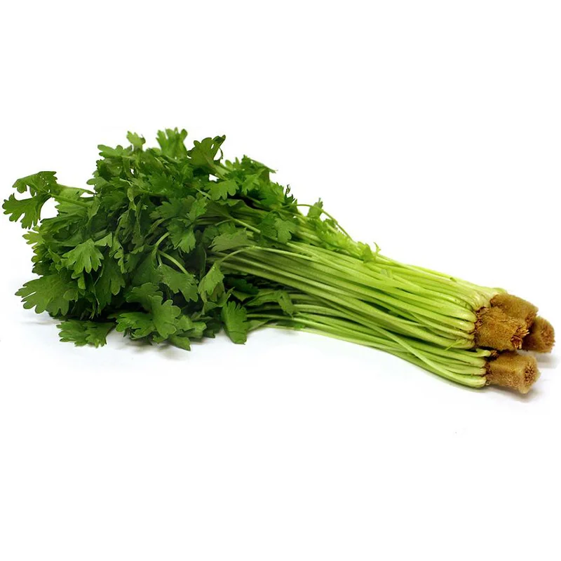 Vietnamese Cellery MitroFresh