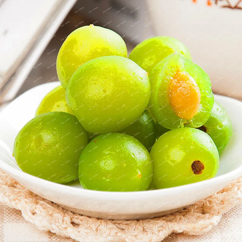 Rare Plum Seeds 10pcs Best Seeds Online Free Shipping Worldwide