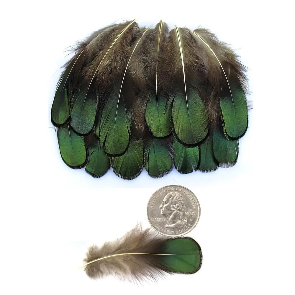 Wholesale 200PCS Natural Pheasant Feathers High Quality Plume 6 8CM