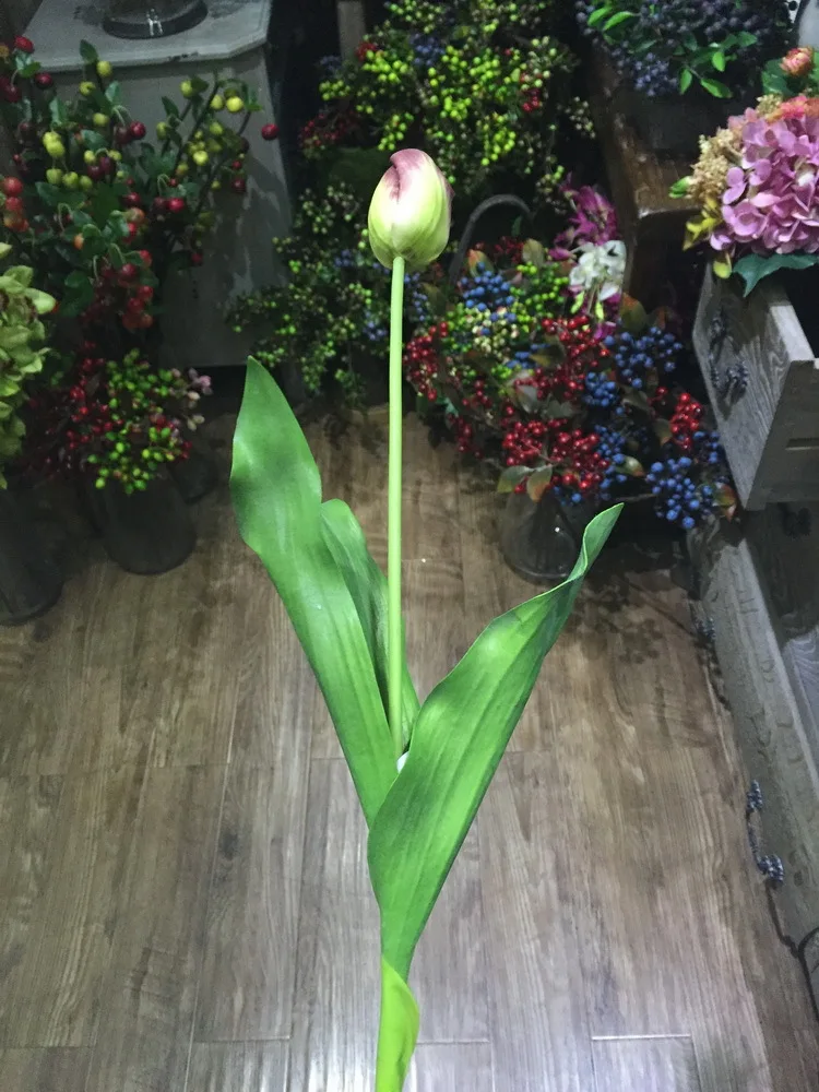 24 Product Image