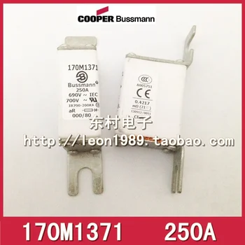 

[SA]- United States BUSSMANN Fuses 170M1371 170m1371D 250A 690V fuse--5PCS/LOT