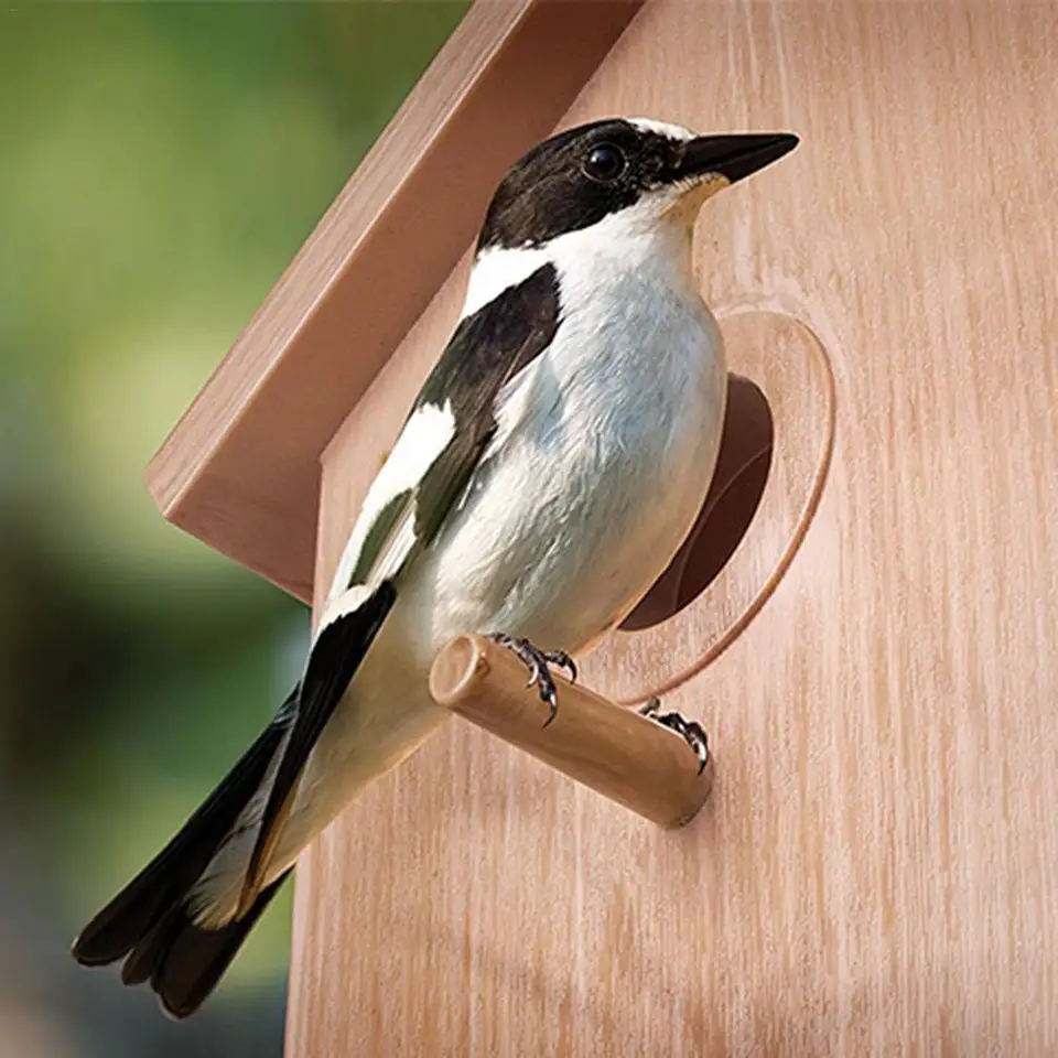 Innovative Outdoor Wood Color Bird Nest Cage Bird Feeder One Way