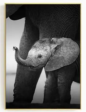 Постеры и принты с изображением слона и животных, настенная живопись на холсте, художественная фотография с изображением животных, настенные картины для гостиной, Dec - Цвет: 07