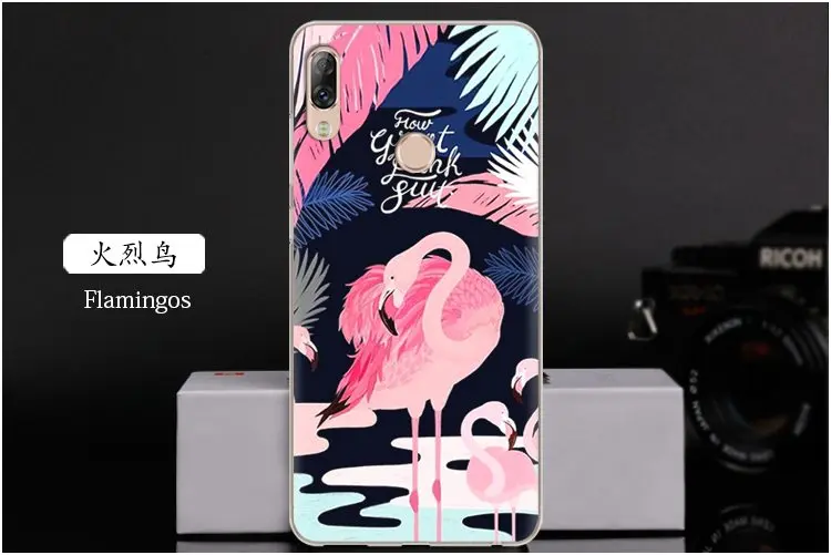  Flamingos
