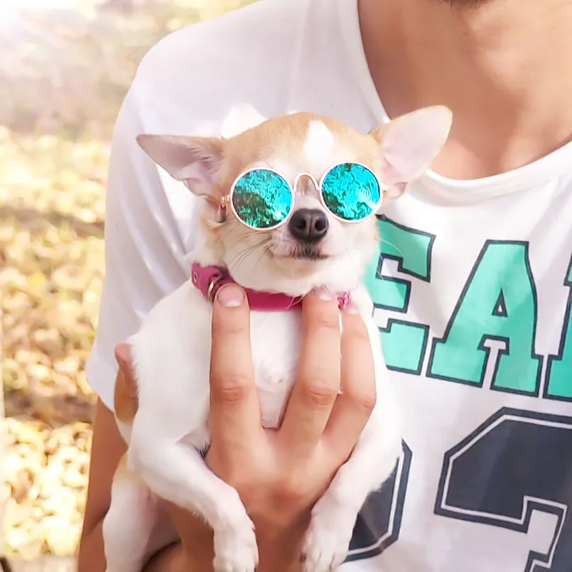 

OLOEY Pet Glasses Sunglasses Little Dog Eye-wear Photos Props Dog cat Accessories Pet Supplies For Pet Products Cat Glasses
