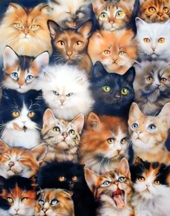 

Memory Home Blankets Funny Pet Animal Kittens Cute Cats Blanket Coral Fleece Fabric Sofa Bed Kid Adult Warm Throw Blanket