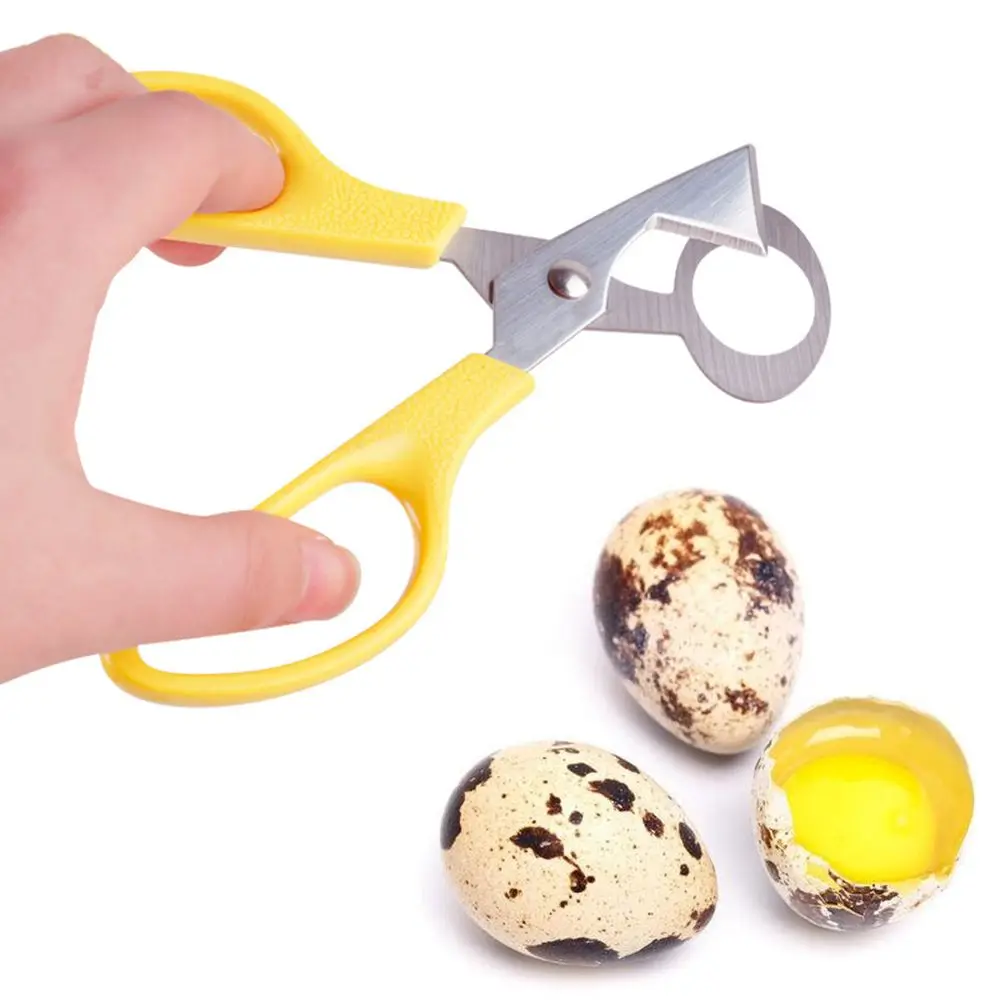

Stainless Steel Quail Egg Shells Scissors Bird Cutter Opener Clipper Egg Slicers Cracker Cigar Cutter Separator Spoon Kitchen