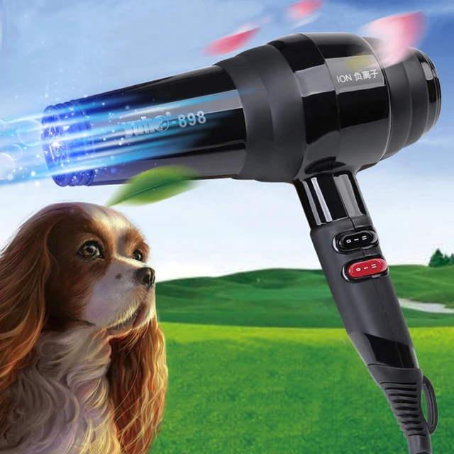 2000W+ Professional Pet Hair Dryer Dog Hair Dryer Teddy / Golden / Sama