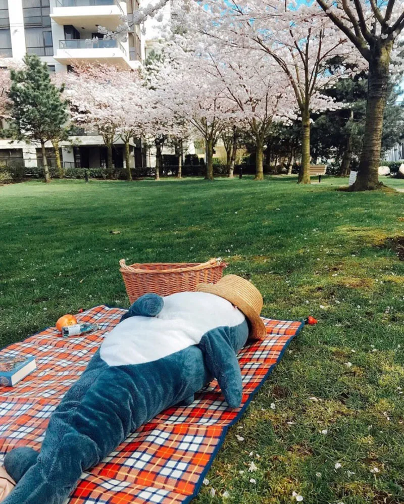 O1CN01kbd5uJ1TNVA2cS4FU_!!0-rate