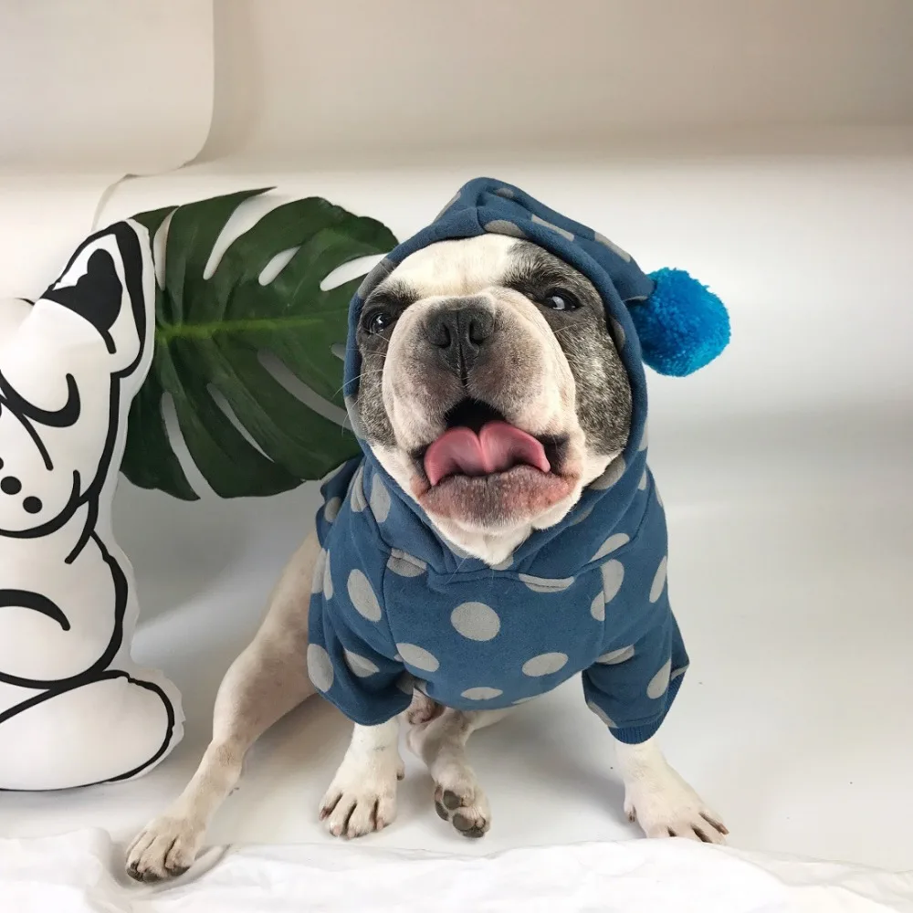 ポルカドット犬シャツパーカーとボール帽子フリース小型犬ペットの猫コートジャケットパジャマ服ピットブルチワワ犬服 Dog Clothes Cat Coatchihuahua Dog Clothes Aliexpress