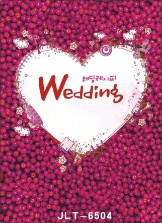 

300cm*300cm Vinyl Custom Photography Backdrops Prop Digital Photo Studio Background  S-6504
