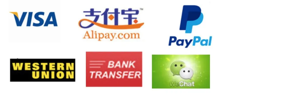 Payment