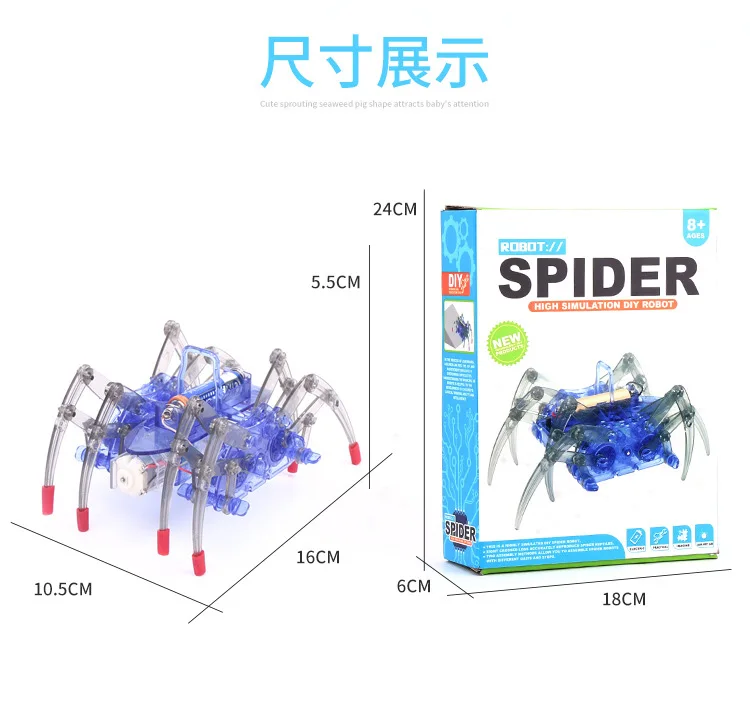 10654646925_47442407
